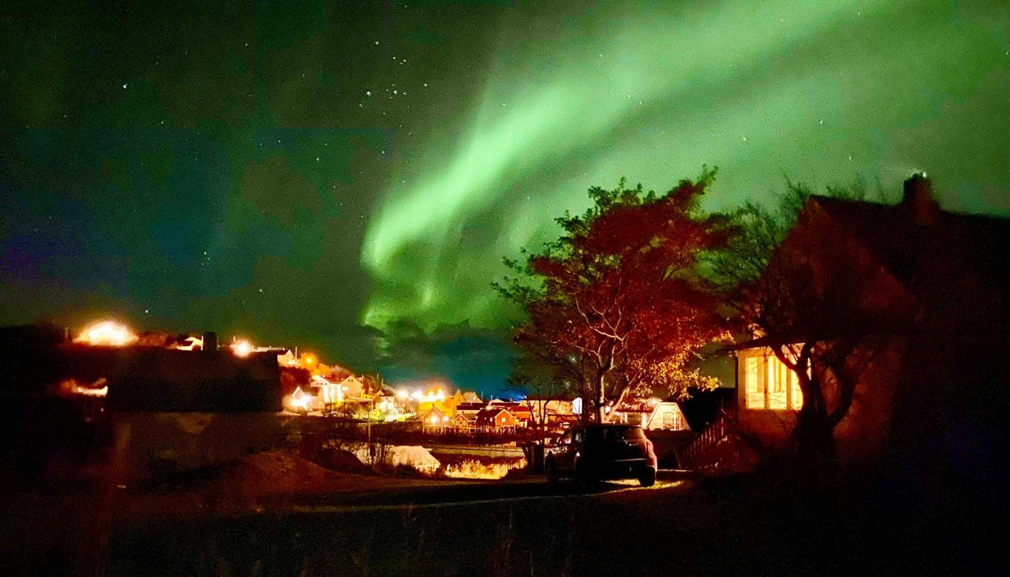 Reinefjord Panorama Villa Москенес Екстериор снимка