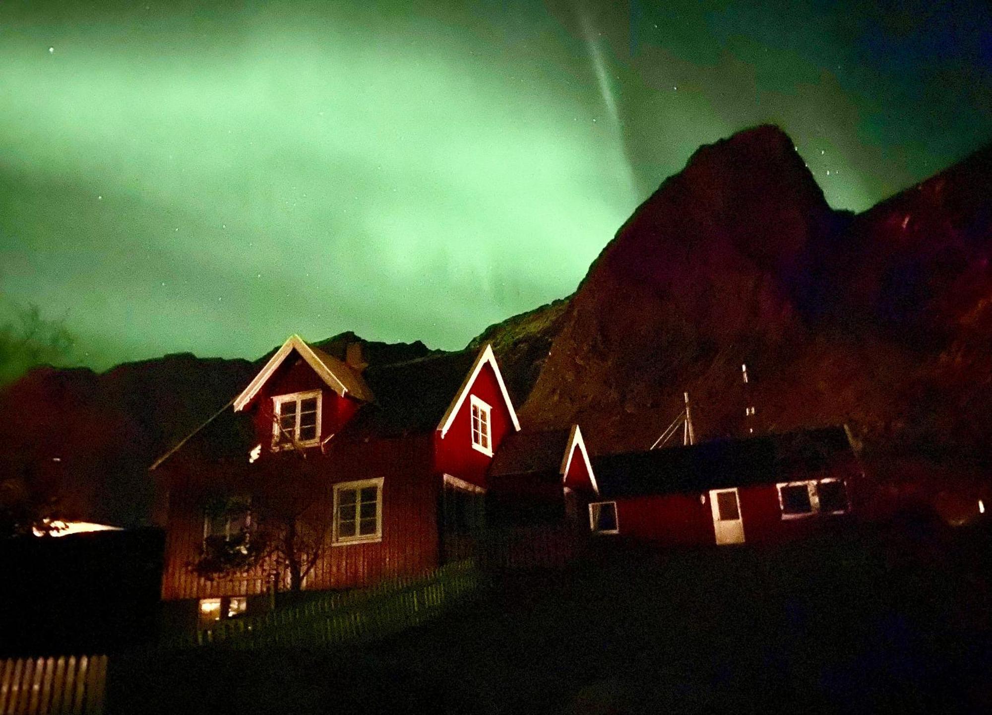 Reinefjord Panorama Villa Москенес Екстериор снимка